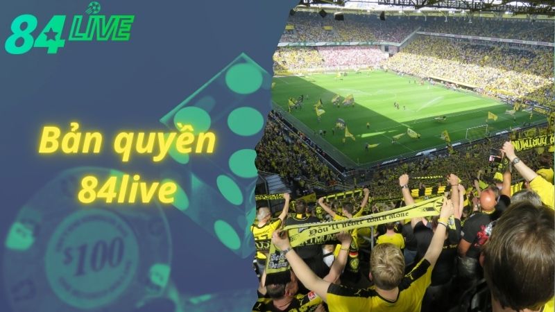 Đôi nét về bản quyền 84live