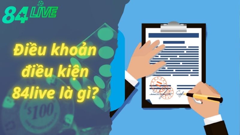 Tìm hiểu về điều khoản điều kiện 84live