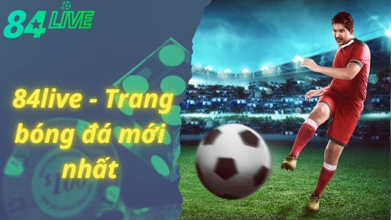 Giới thiệu về 84live - trang bóng đá uy tín